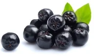 Akcesoria jeździeckie - EQUIHERBS Aronia owoc 1 kg - miniaturka - grafika 1