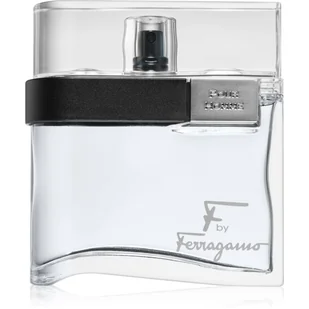 Salvatore Ferragamo F Black Woda toaletowa 100ml - Wody i perfumy męskie - miniaturka - grafika 1