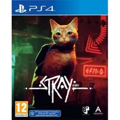 Gry PlayStation 4 - Stray GRA PS4 - miniaturka - grafika 1
