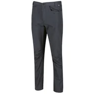 Spodnie sportowe męskie - Spodnie męskie Regatta Delgado Trousers Rozmiar: L-XL / Kolor: szary - miniaturka - grafika 1
