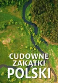 Albumy krajoznawcze - Cudowne zakątki Polski - Dawid Lasociński, Izabela Wojtyczka, Paweł Wojtyczka - książka - miniaturka - grafika 1