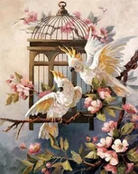 Dekoratorstwo - Haft Diamentowy Wesołe Kakadu 45x55 cm - miniaturka - grafika 1