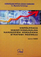 Zarządzanie - Współpraca międzykomunalna narzędziem wdrażania strategii rozwoju - miniaturka - grafika 1