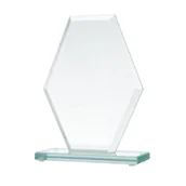 Gadżety dla kibiców - Trofeum szklane - miniaturka - grafika 1