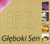 Muzyka relaksacyjna - Deep Sleep [CD] - miniaturka - grafika 1