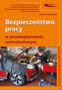 Podręczniki dla szkół zawodowych - Bezpieczeństwo pracy w przedsiębiorstwie samochodowym - miniaturka - grafika 1