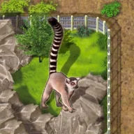 Gry planszowe - Zooloretto: dodatek Lemur G3 - miniaturka - grafika 1