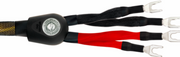 Kable - Kabel głośnikowy Bi-Wire WireWorld GOLD ECLIPSE 8 (GEB) Długość: 3 m - miniaturka - grafika 1