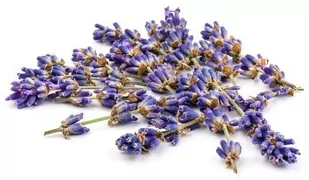 EQUIHERBS Lawenda kwiat 1 kg - - Akcesoria jeździeckie - miniaturka - grafika 1