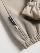 Spodnie i spodenki dla chłopców - Reserved - Ocieplane joggery - jasnoszary - miniaturka - grafika 1