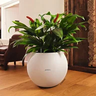 Pozostałe narzędzia ogrodowe - LECHUZA Donica PURO Color 50 ALL-IN-ONE, śr. 49 cm, biała - miniaturka - grafika 1