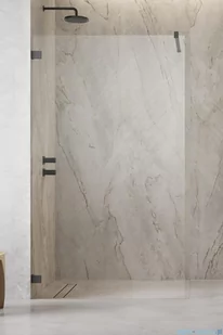 Radaway Essenza Pro Brushed GunMetal 135x200 kabina Walk-in szczotkowany grafit 10103135-92-01 - Kabiny prysznicowe Radaway Essenza Pro Brushed GunMetal 135x200 kabina Walk-in szczotkowany grafit 10103135-92-01 - Kabiny prysznicowe - miniaturka - grafika 1