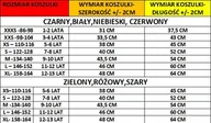 Moda i Uroda OUTLET - KOSZULKA DZIECIĘCA Z NADRUKIEM SMERFY SMERFETKA RÓŻNE - L 146-152 - miniaturka - grafika 1