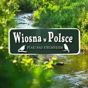 Muzyka relaksacyjna - Wiosna w Polsce - Ptaki nad strumykiem - miniaturka - grafika 1