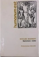Poezja - Spienione niebo - miniaturka - grafika 1