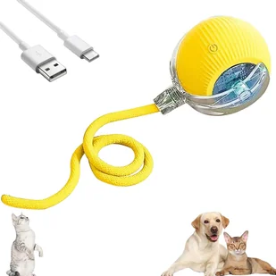 Interaktywna zabawka dla kota, elektryczna piłka dla kota z ładowaniem przez USB, trzy tryby pracy Interaktywna piłka do zabawy dla kotów Interaktyw.. - Zabawki dla kotów Interaktywna zabawka dla kota, elektryczna piłka dla kota z ładowaniem przez USB, trzy tryby pracy Interaktywna piłka do zabawy dla kotów Interaktyw.. - Zabawki dla kotów - miniaturka - grafika 1