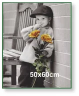 Ramki na zdjęcia - Rama aluminiowa do plakatu 50x60cm, zielona / ARTVIC - miniaturka - grafika 1