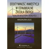 Biznes - Efektywność inwestycji w odnawialne źródła energii - Ligus Magdalena - miniaturka - grafika 1