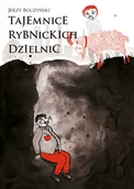 Książki regionalne - Tajemnice rybnickich dzielnic - miniaturka - grafika 1
