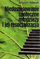 Pedagogika i dydaktyka - Niedostosowanie społeczne młodzieży i jej resocjalizacja - miniaturka - grafika 1