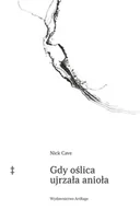 Literatura obyczajowa - gdy oślica ujrzała anioła - miniaturka - grafika 1