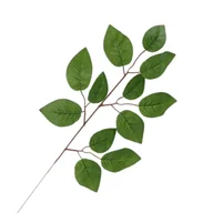 Sztuczne kwiaty - [680698] Gałązka z listkami róży zielona 46cm - miniaturka - grafika 1