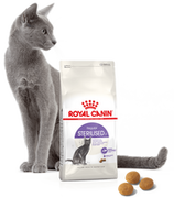 Royal Canin Senior Ageing Sterilised 12+ 2 kg