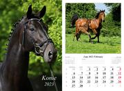 Kalendarze - Kalendarz 2023 Ścienny wieloplanszowy Konie - miniaturka - grafika 1