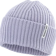 Czapki męskie - CZAPKA SALOMON SNOWBIRD C26299 - miniaturka - grafika 1