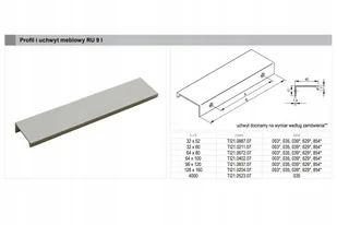 Rejs Uchwyt meblowy Ru 9 I L-200/160 aluminium C-35 złoty anodowany mat - Meble modułowe i akcesoria - miniaturka - grafika 1