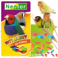 Karma dla ptaków - NESTOR Witaminy na Piórka Mała Egzotyka – Mieszanka ziaren - miniaturka - grafika 1