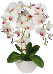 Storczyk sztuczny 3pgb2 orchidea jak żywy - Sztuczne kwiaty - miniaturka - grafika 1