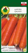 Nasiona i cebule - Marchew jadalna Galaxy 5 g PNOS - miniaturka - grafika 1