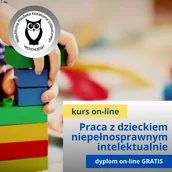 Pomoce naukowe - Metodyka pracy z dzieckiem niepełnosprawnym intelektualnie kurs online - miniaturka - grafika 1