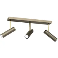 Lampy sufitowe - Listwa sufitowa z reflektorami na wysięgnikach LX 263 z serii AXION - miniaturka - grafika 1