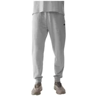 Spodnie sportowe męskie - Męskie spodnie dresowe 4F Trousers Cas M603 Rozmiar: XL / Kolor: jasnoszary - miniaturka - grafika 1
