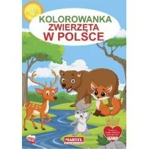 Kolorowanka Zwierzęta w Polsce Nowa - Kolorowanki, wyklejanki Kolorowanka Zwierzęta w Polsce Nowa - Kolorowanki, wyklejanki - miniaturka - grafika 1