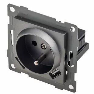 Gniazdko Do Ramek 230V Z Bolcem 2X Usb - Premium - Gniazdka elektryczne - miniaturka - grafika 1