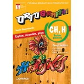 Podręczniki dla szkół podstawowych - Operon Język polski. Ortograffiti. Czytam, rozumiem, piszę. Poziom pierwszy CH, H. Klasa 4-5. Zeszyt ćwiczeń - szkoła podstawowa - Danuta Chwastniewska - miniaturka - grafika 1