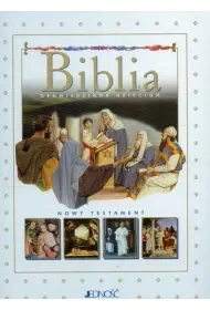 Biblia opowiedziana dzieciom, wydanie dwutomowe - Religia i religioznawstwo - miniaturka - grafika 1