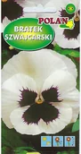 Nasiona i cebule - Bratek szwajcarski kremowobiały z plamą 0.4 g POLAN - miniaturka - grafika 1