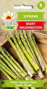 Szparag Mary Washington
Asparagus Officinalis L. - Nasiona i cebule - miniaturka - grafika 1