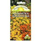 Nasiona i cebule - Aksamitka Wąskolistna mieszanka 0,5 g Polan - miniaturka - grafika 1