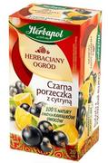 Herbata - Herbapol Herbaciany Ogród Herbatka owocowo-ziołowa czarna porzeczka z cytryną 54 g (20 x 2,7 g) - miniaturka - grafika 1