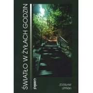 Poezja - Światło w żyłach godzin Nowa - miniaturka - grafika 1