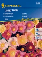 Nasiona i cebule - Malwa Happy Lights - miniaturka - grafika 1