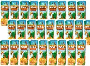 27× Lewiatan Napój Minio pomarańcza 200 ml - Soki i napoje niegazowane - miniaturka - grafika 1