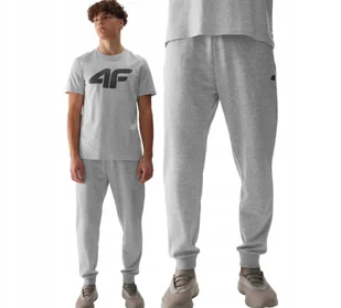 Dresowe długie spodnie męskie 4F 4FWSS24TTROM603-27M Szary - Spodnie męskie - miniaturka - grafika 1