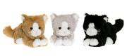 Maskotki i pluszaki - Teddykompaniet pluszowy kotek w 3 kolorach 2597 - miniaturka - grafika 1