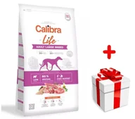 Sucha karma dla psów - Calibra Dog Life Adult Large Breed Lamb 12kg - miniaturka - grafika 1